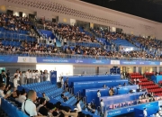 英雄联盟总决赛2025-包含BRO碾压DRX，辛杜打破历史纪录宿命之战成都决赛之夜，成为赛场最大亮点的词条