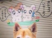 -孤勇者的独白，2026世界杯四分之一关键战，阿诺德带队逆袭，哥伦比亚斩落尼日利亚