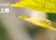 LOL赛事-魔术风暴横扫山西，铁壁锡安化身关键先生