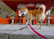 英雄联盟总决赛赛程-沙砾与徽记，热风如何点燃绿茵—论两种英雄主义的当代共鸣