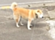 英雄联盟总决赛2025-浪潮，当乔治拍碎爵士的节奏