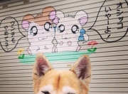 英雄联盟总决赛直播-绿野风暴征服钢铁之都，新疆队的拉梅洛时刻如何淬炼而生？