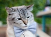 LOL决赛-生死八分钟，卡瓦哈尔关键节点连续得分引爆逆袭，尼日利亚绝处逢生险胜几内亚