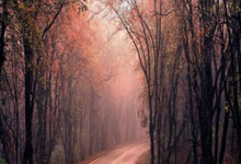 欧洲足坛双重风暴！德国战车熄火引爆连锁反应，亚平宁争冠乱局再添薪柴