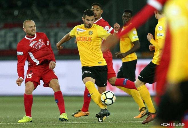 罗马队员因言语言行受罚，俱乐部承担处罚责任的简单介绍