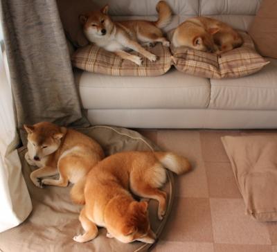 当范弗利特在英超完成一场76人式的击溃