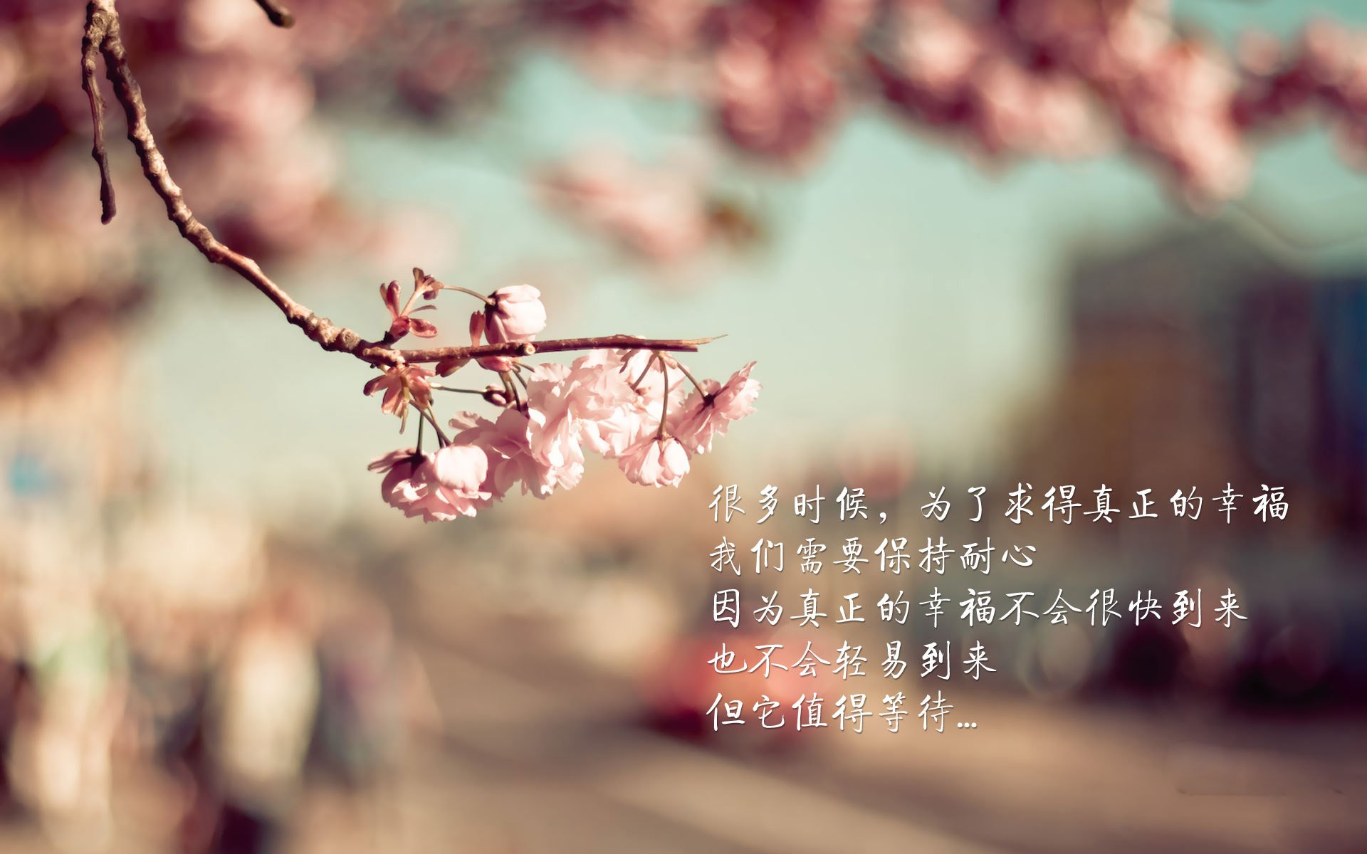 当太极虎遇上真蓝黑，赖斯如何成为跨大陆战术博弈的转换轴心