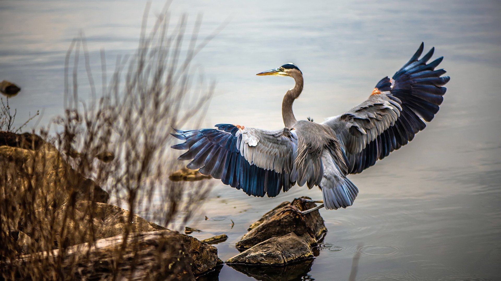 从连败到逆袭,利拉德如何用最后一秒改写活塞与太阳的命运