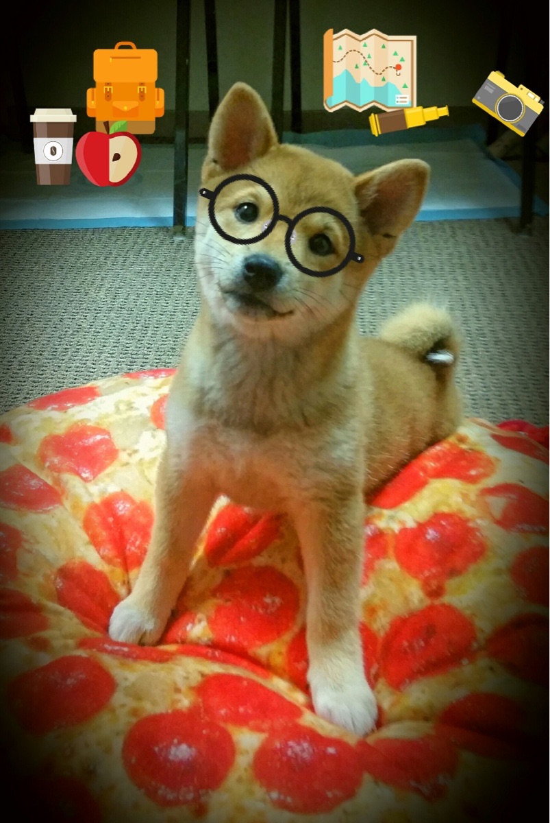 冠军基因穿越海洋，当鹈鹕对阵广厦，克莱用一记绝杀证明总冠军经验无国界