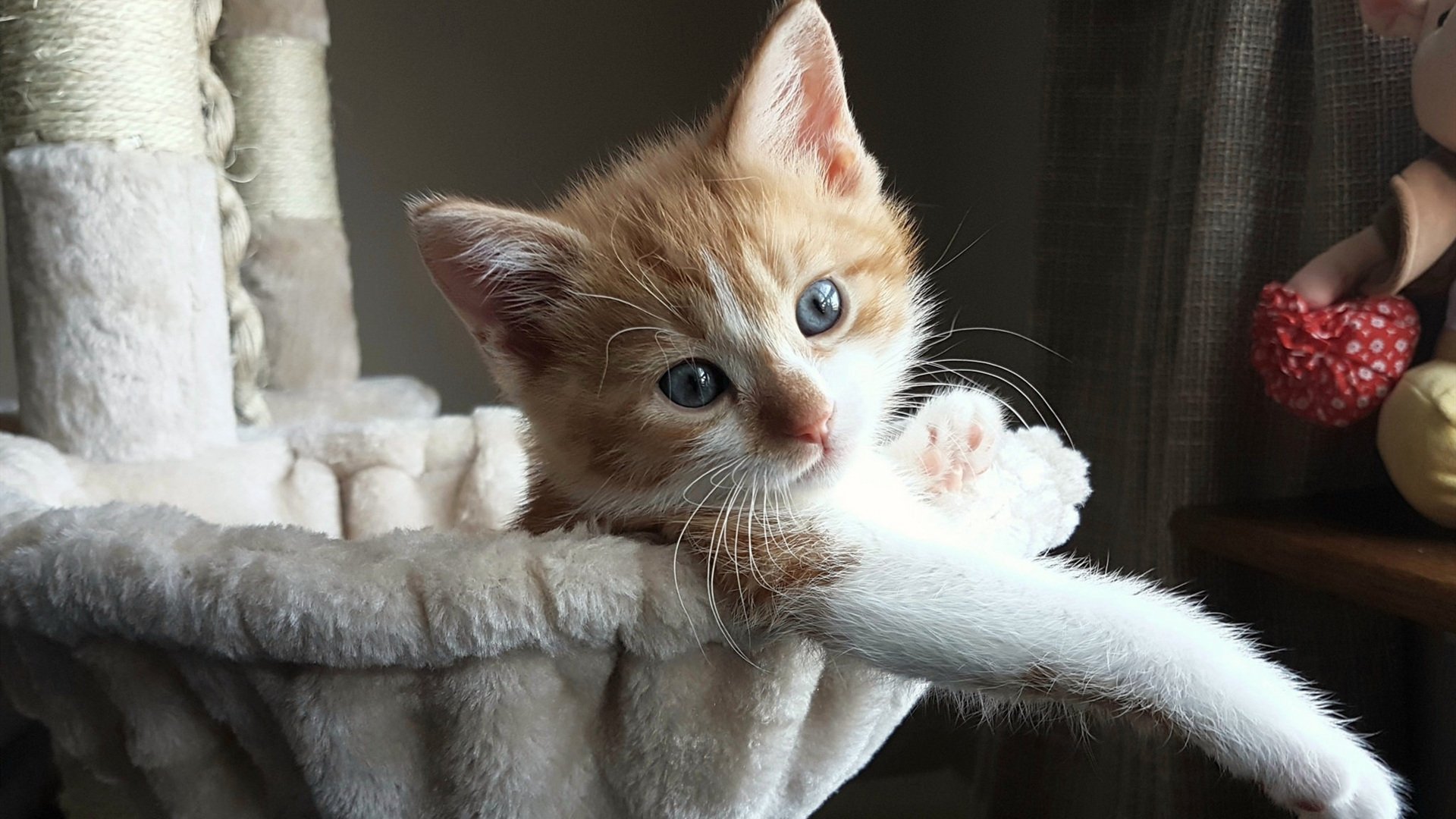 无声的巨人，戈贝尔的防守哲学如何助勇士跨过步行者