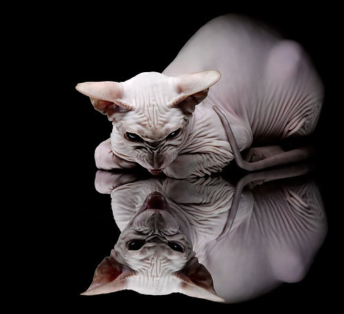 南美神话破晓时,2026世界杯焦点战,秘鲁逆转乌拉圭