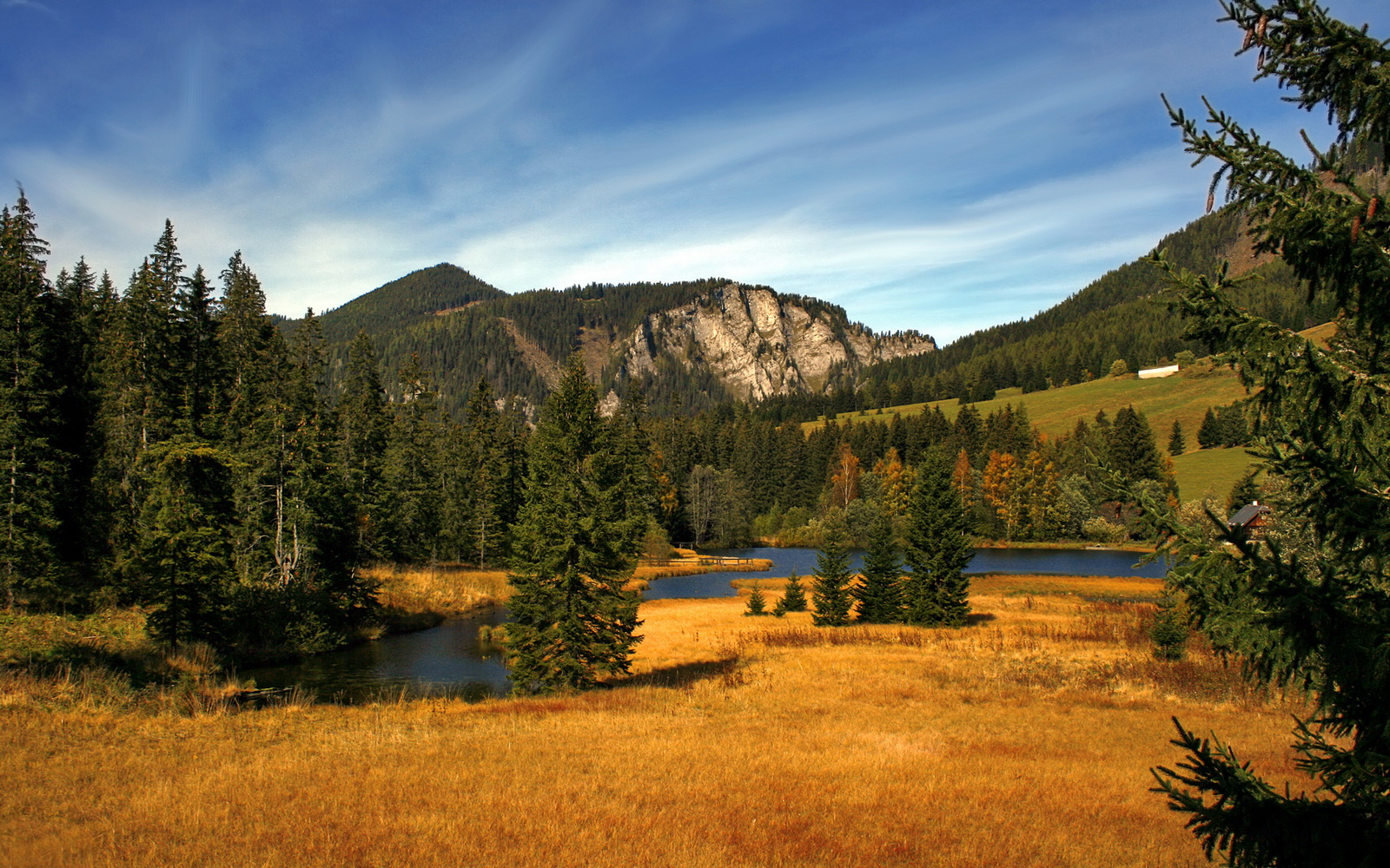 风暴眼，当意甲焦点战之夜，所有人都围绕着法比尼奥旋转