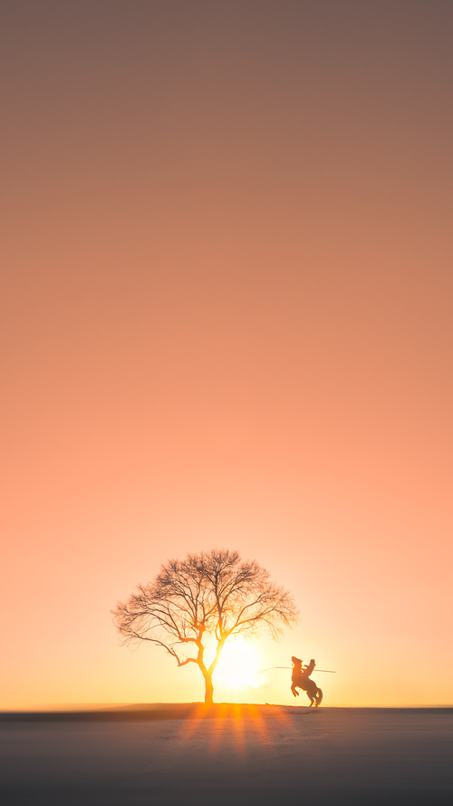 阿什拉夫极限爆发撕裂防线，拜仁稳如磐石攻克乌克兰铁壁