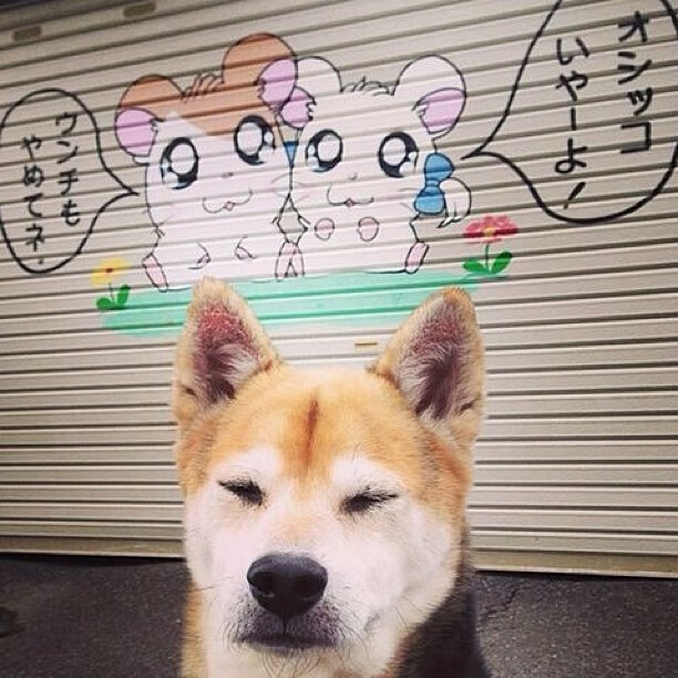 绿野风暴征服钢铁之都，新疆队的拉梅洛时刻如何淬炼而生？