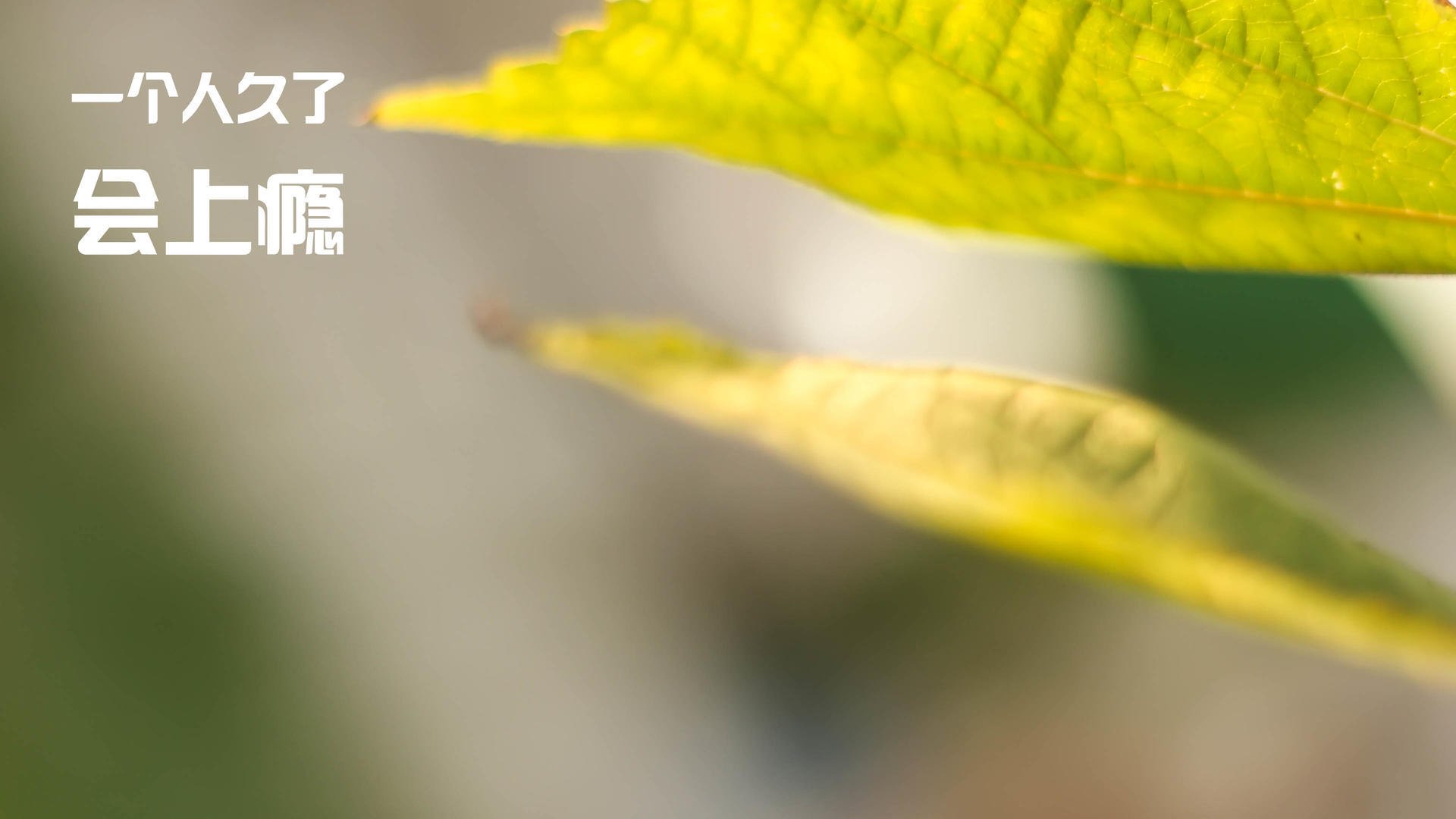 威尔士红龙正面碾碎里昂，门神拉亚成现代足球新答案