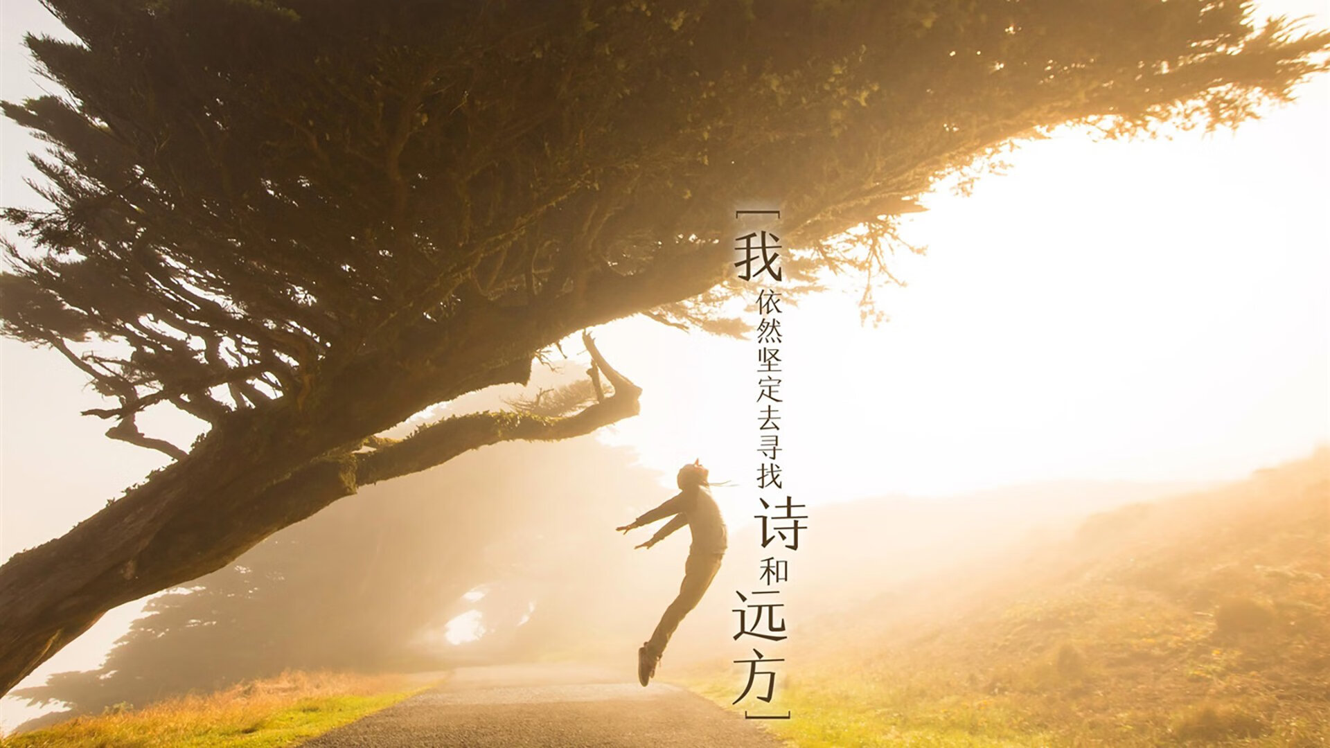 冰与火之歌，当保罗关键先生点燃战场，广东宏远用东方熔炉焚烧奇才迷茫