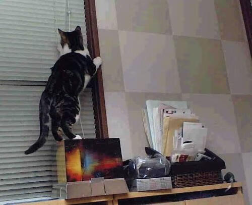 时空裂痕下的奇迹，当足球之神在篮球场降临